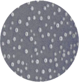 イフミックの写真