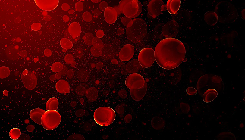 イフミックの写真